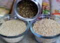 Guida completa alle proteine vegetali per una dieta bilanciata