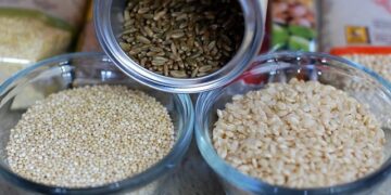 Guida completa alle proteine vegetali per una dieta bilanciata