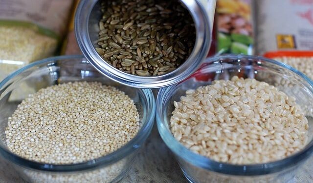 Guida completa alle proteine vegetali per una dieta bilanciata