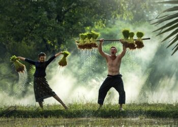 Le proteine vegetali come alleate della salute