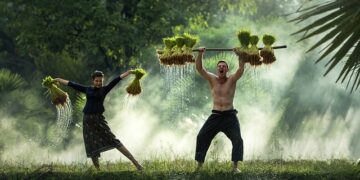 Le proteine vegetali come alleate della salute
