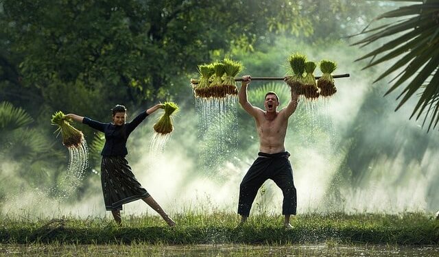 Le proteine vegetali come alleate della salute