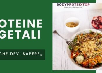 bodyproteintop foto proteine sane