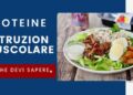 proteine informazioni bodyproteintop