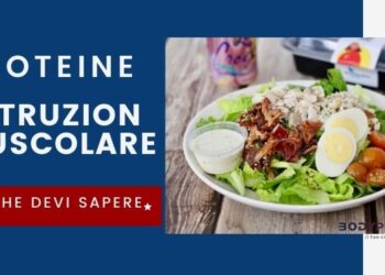 proteine informazioni bodyproteintop