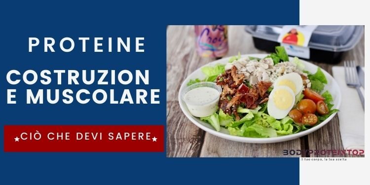 proteine informazioni bodyproteintop