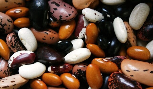 Le proteine vegetali per la salute dei reni