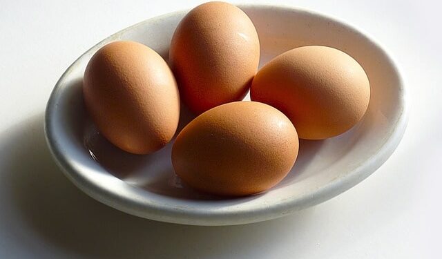 Proteine animali e salute del sistema nervoso