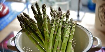 Le proteine vegetali per un pianeta sostenibile
