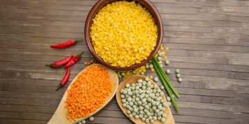 Legumi la fonte proteica vegetale per una dieta sana ed equilibrata