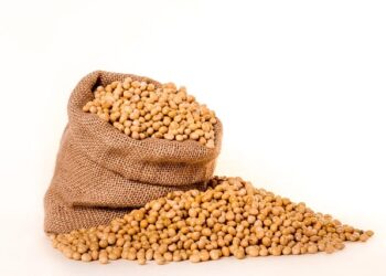 Scopri i benefici della soia per la tua salute e il tuo benessere