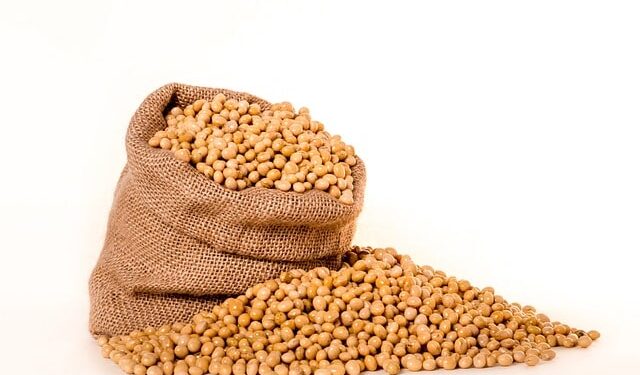 Scopri i benefici della soia per la tua salute e il tuo benessere