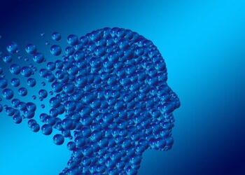 Tabella alimenti ricchi di proteine animali con i valori nutrizionali