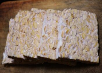 Tempeh Un'alternativa sana e gustosa alla carne