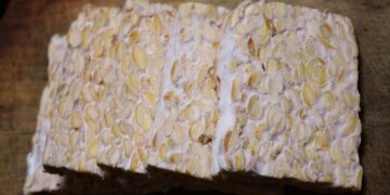 Tempeh Un'alternativa sana e gustosa alla carne