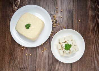 Tofu Informazioni Principali Dieta sana